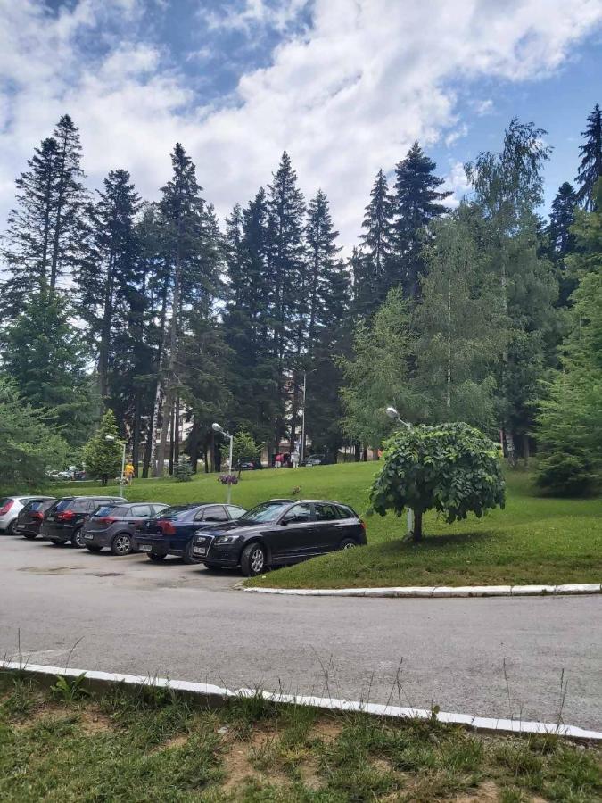 Premium Apartment In Borovets Gardens Complex Exteriör bild