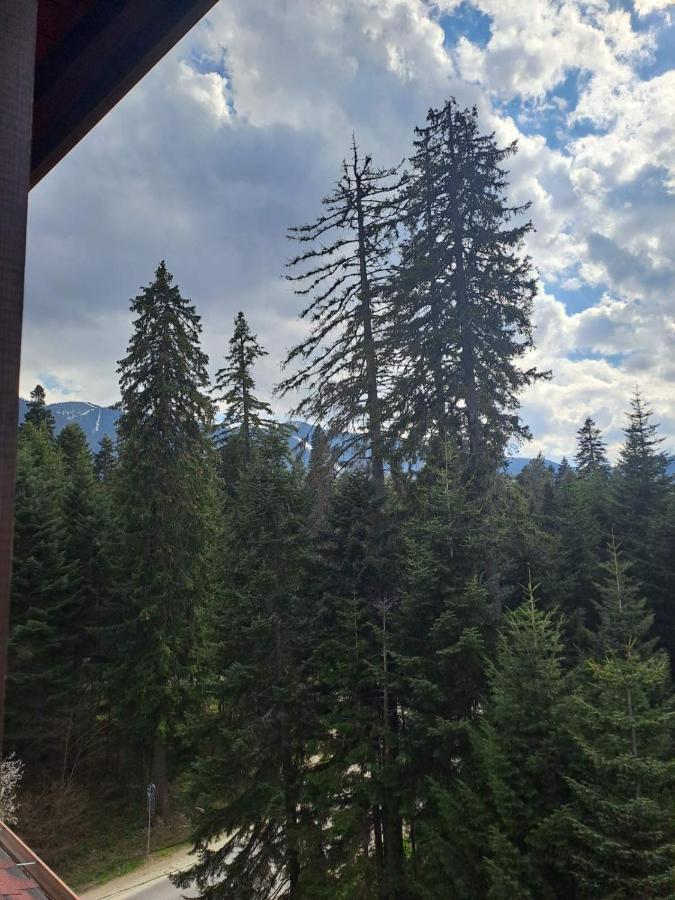 Premium Apartment In Borovets Gardens Complex Exteriör bild